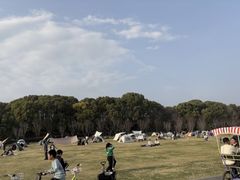 -昆山城市生态森林公园