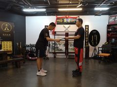 -温鉴良实用咏春拳