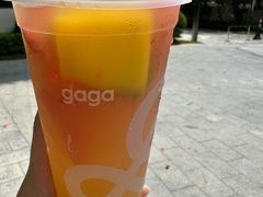 -gaga(深圳南山益田假日广场店)