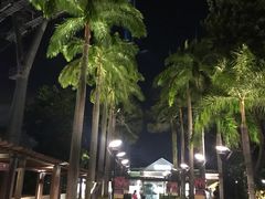 -圣淘沙天际线斜坡滑车
