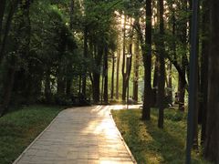 -东湖落雁景区