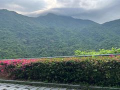 -梧桐山风景名胜区