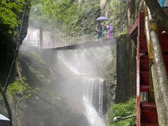 -牛背梁国家森林公园