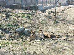 -西安秦岭野生动物园