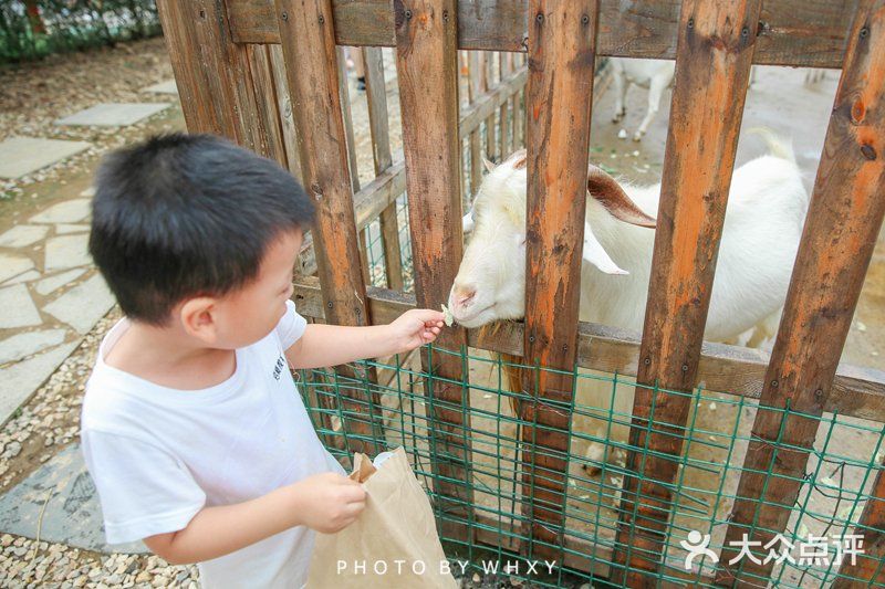 长兴开元芳草地乡村酒店| 杭州周边的世外桃源
