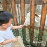 长兴开元芳草地乡村酒店| 杭州周边的世外桃源