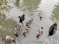 -西山漾湿地公园