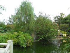 -名树园