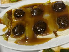 玉樹麒麟豆腐-新陶陶酒家