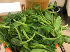 -蜀皇·菌汤鲜黄牛肉汤锅(宽窄巷子店)
