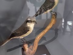 -房山世界地质公园博物馆