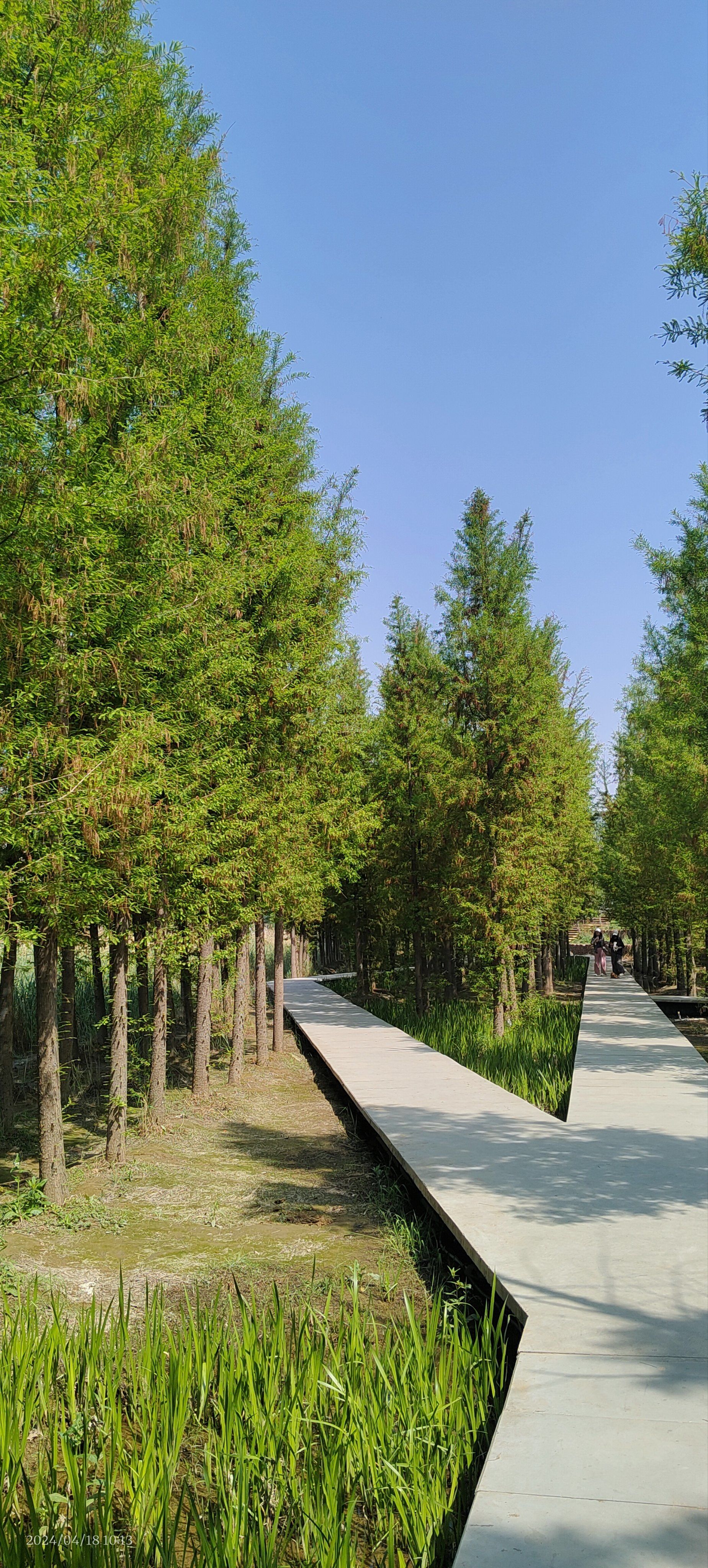 东风渠的另一番景色