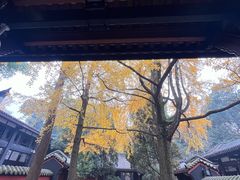 -成都武侯祠博物馆