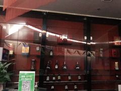 -长沙小天鹅戴斯酒店