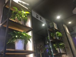 -上禾 HAIR SALON