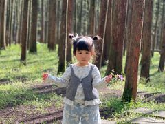 -山王坪喀斯特国家生态公园