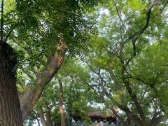 -北京国子监胡同