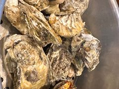 -土蚝·高压锅生蚝(百姓美食街店)