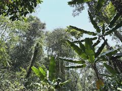 -西双版纳基诺山寨