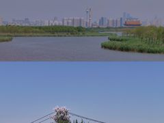 -西青郊野公园