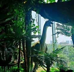 -恐龙探索乐园(磁器口店)