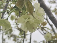 -堤角公园