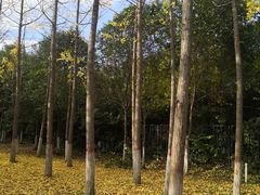 -西安汉城湖景区