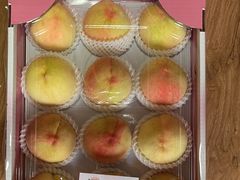 -南汇新场正宗水蜜桃采摘