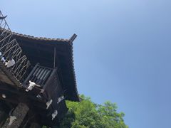 -呀路古热带植物园