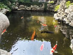 -鲤院·新中式美学·庭院餐厅(夫子庙店)
