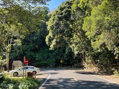-海南热带雨林国家公园吊罗山景区