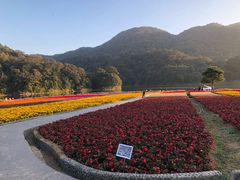 -广州市石门国家森林公园