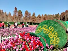 -捞渔河湿地公园