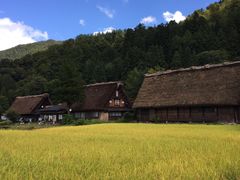 -白川乡与五箇山的合掌构造村落