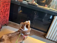 -Local泰莲庭(虹鳟鱼店)