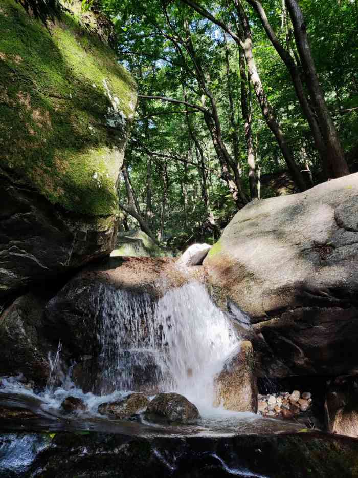 西寺沟旅游风景区-"真的是宝藏地啊,在太平裕里,里太平森林公.
