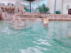 -庐山西海国际温泉度假村