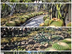 -深圳市中科院仙湖植物园