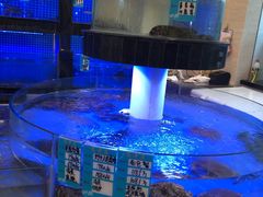 水产区-高老庄新家宴(北斗星广场店)