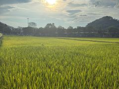 -红山村