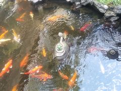 -北园酒家(小北路店)