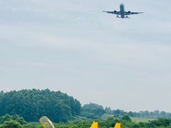 -空港花田景区