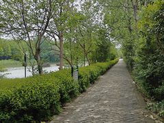 -溱湖国家湿地公园