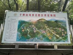 -千佛山风景名胜区