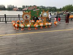 -上海长兴岛郊野公园