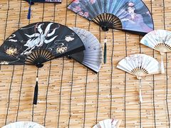 -楼上猫咖(罗湖店)