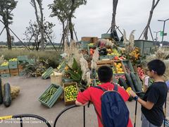 -中国天府农业博览园