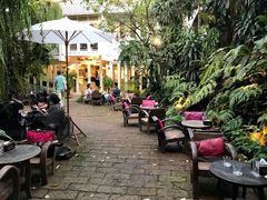 -Fern Forest Cafe