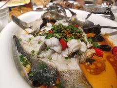 -陶缘一号·四季缘·老字号顺德菜·户外婚礼家宴(西滘店)