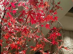 -酣庭院(红松东路店)